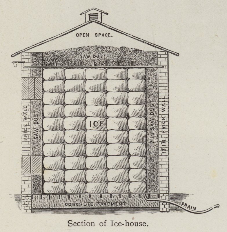 Sektion af ishus (litho) af English School