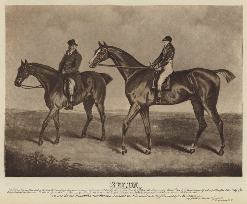 Selim (litho) af English School
