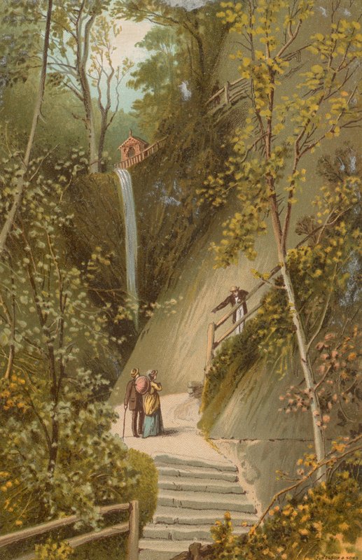 Shanklin Chine - Isle of Wight af English School
