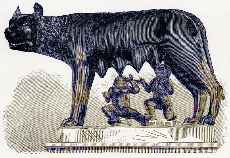 Hun-ulven af Capitol, illustration fra History of Rome af Victor Duruy, udgivet 1884 (digitalt forbedret billede) af English School