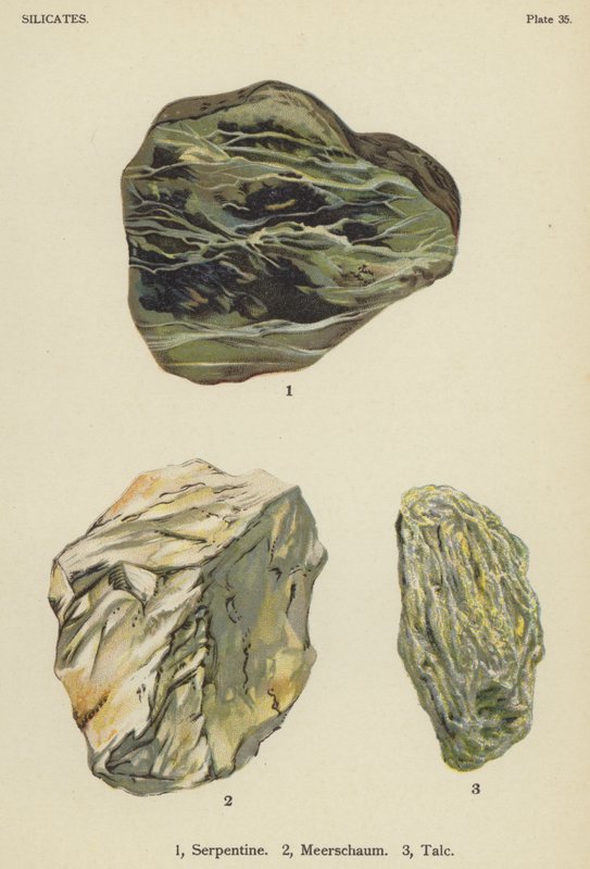 Silikater, serpentin, meerschaum, talkum (farve litho) af English School