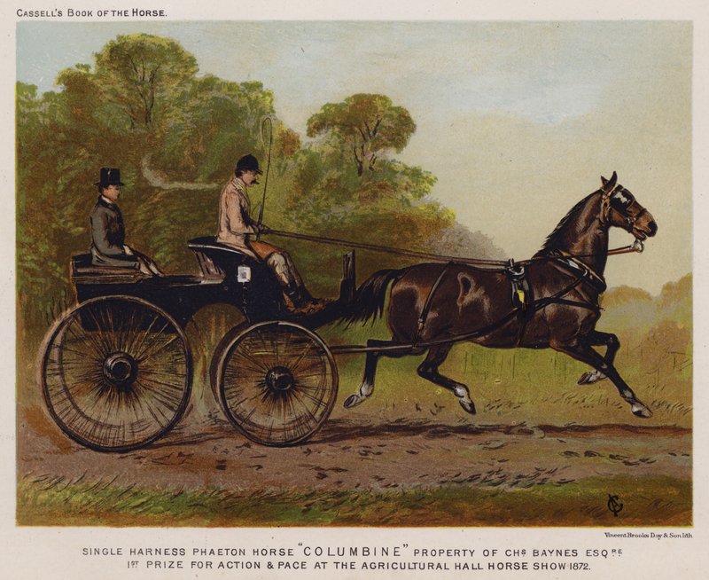 Enkeltsele Phaeton Horse "Columbine", ejendom af Charles Baynes Esq af English School