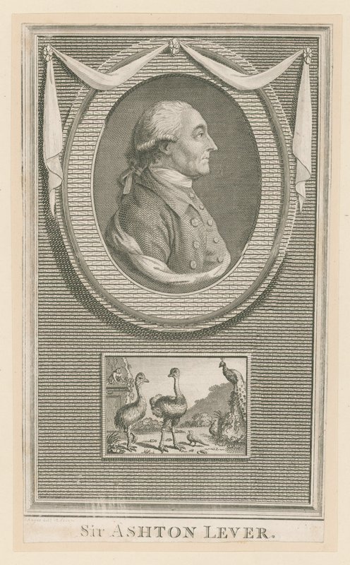 Sir Ashton Lever af English School