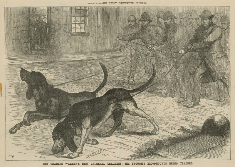 Sir Charles Warrens nye kriminelle sporer: Mr. Broughs blodhunde bliver trænet af English School