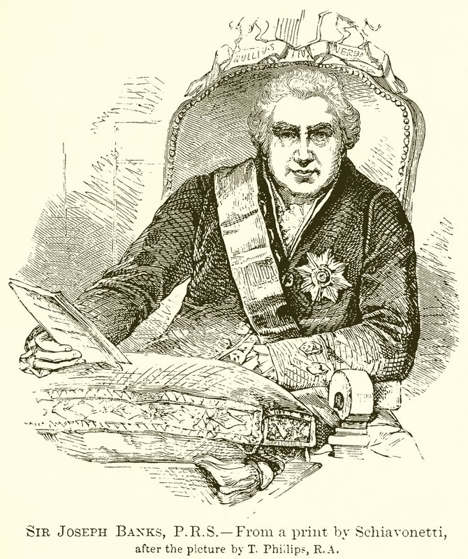 Sir Joseph Banks, P.R.S af English School
