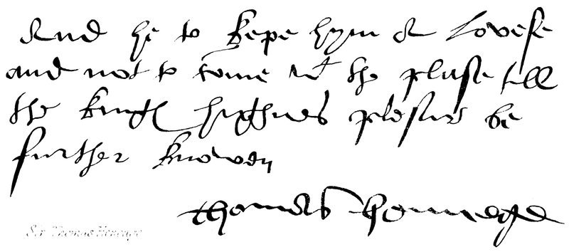 Sir Thomas Heneage af English School