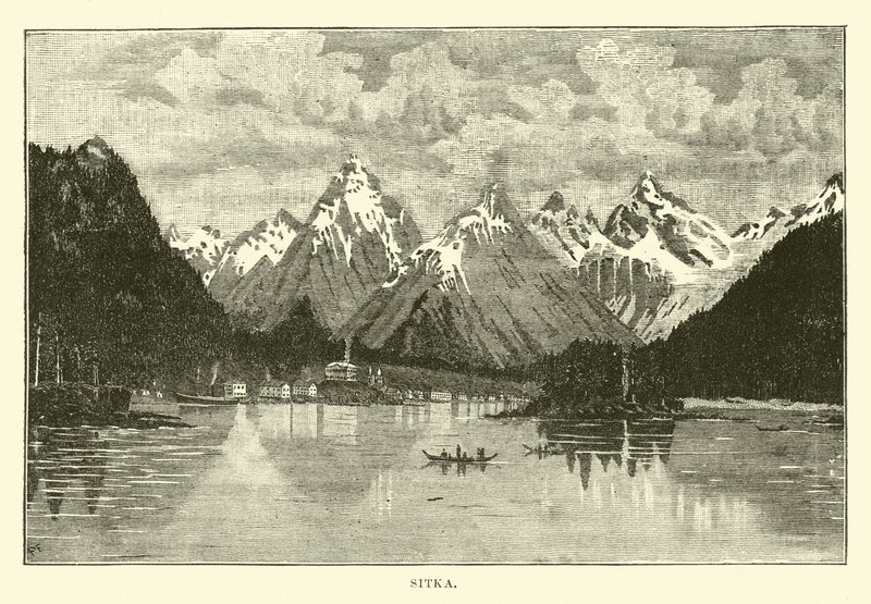 Sitka af English School