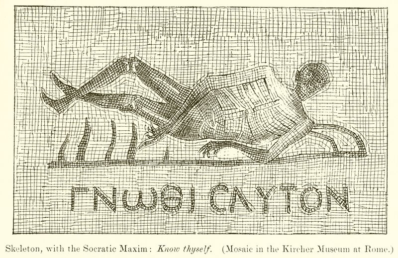 Skelet, med den sokratiske Maxim: Kend dig selv. (Mosaik i Kircher-museet i Rom) af English School