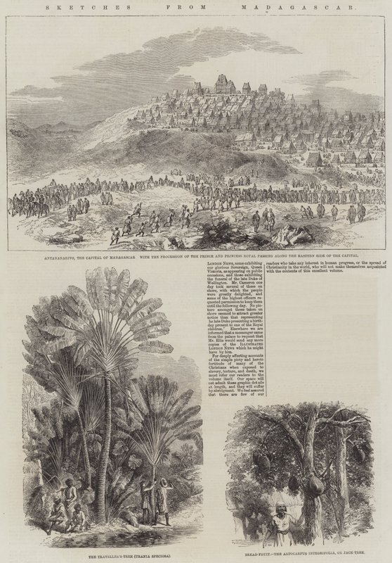 Skitser fra Madagaskar (gravering) af English School