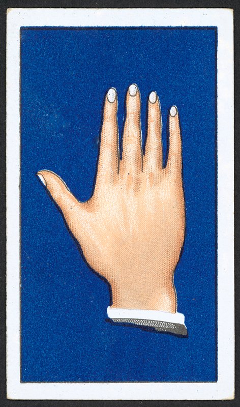 Glatte spidse fingerhænder (farve litho) af English School