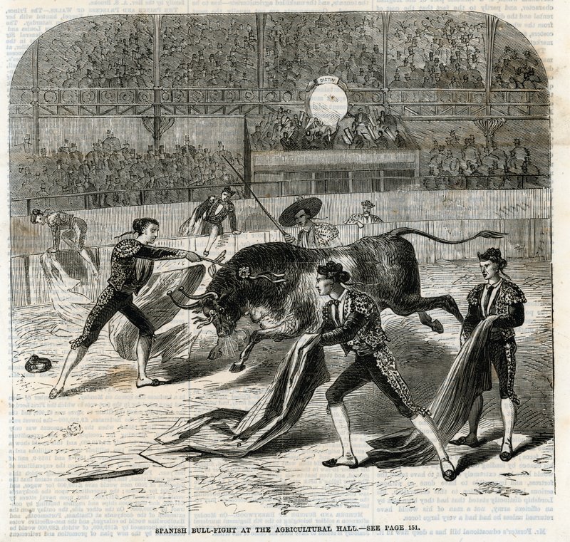 Spansk tyrekamp ved landbrugshallen, Islington af English School