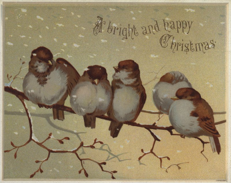 Spurve sidder på en gren i sneen (chromolitho) af English School