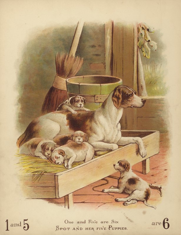 Spot og hendes fem hvalpe (chromolitho) af English School