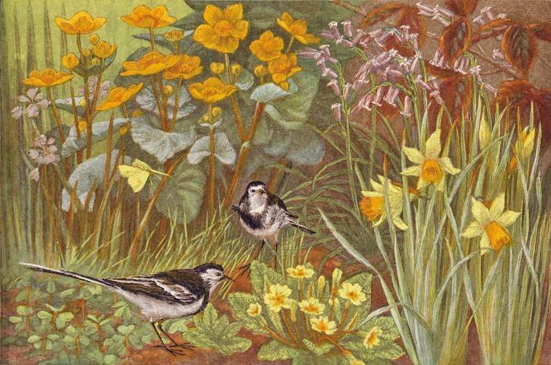 Forår (chromolitho) af English School
