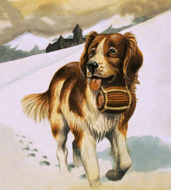 Sankt Bernards hund af English School