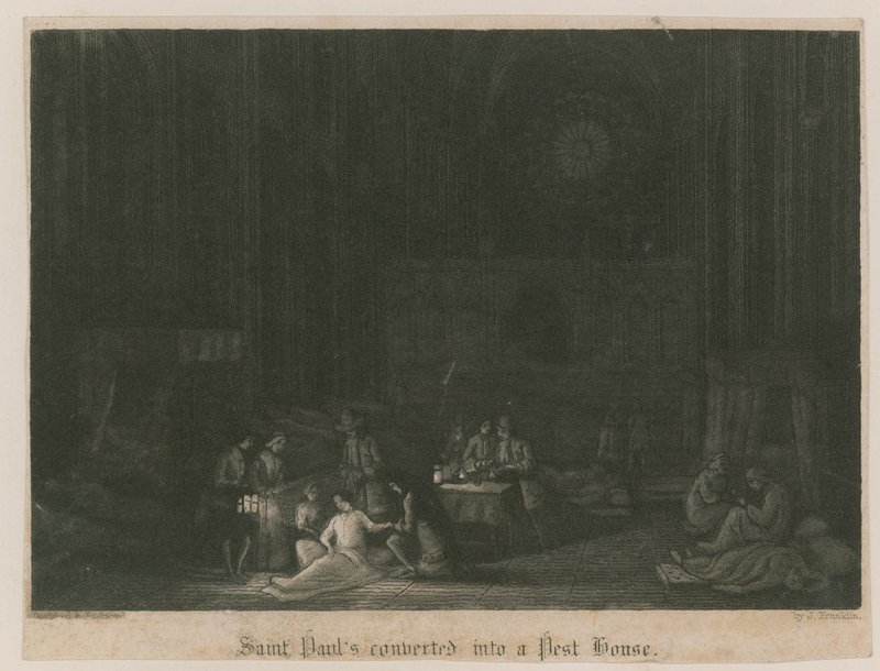 St Pauls omdannet til et skadedyrshus af English School