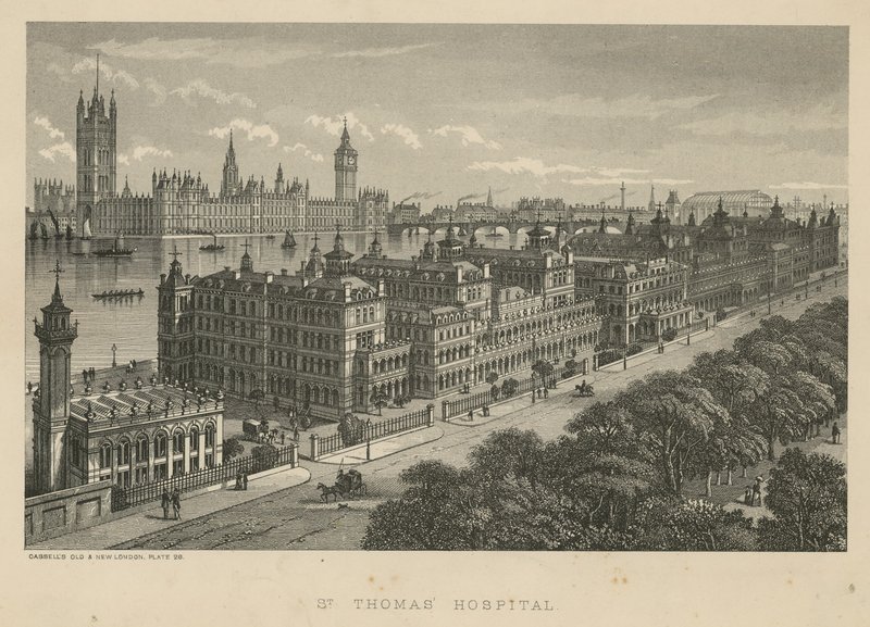 St Thomas Hospital, London af English School