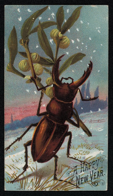 Hjortebille, der bærer mistelten i en vinterscene, julehilsenskort (chromolitho) af English School