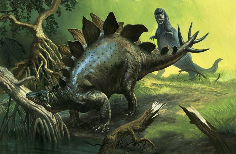 Stegosaurus af English School