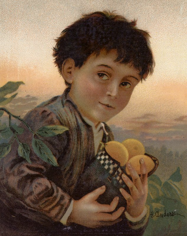 Stjålet frugt (farve litho) af English School