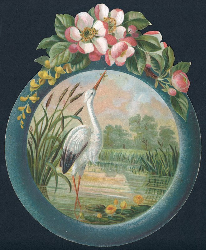 Stork stående i vand, julekort af English School