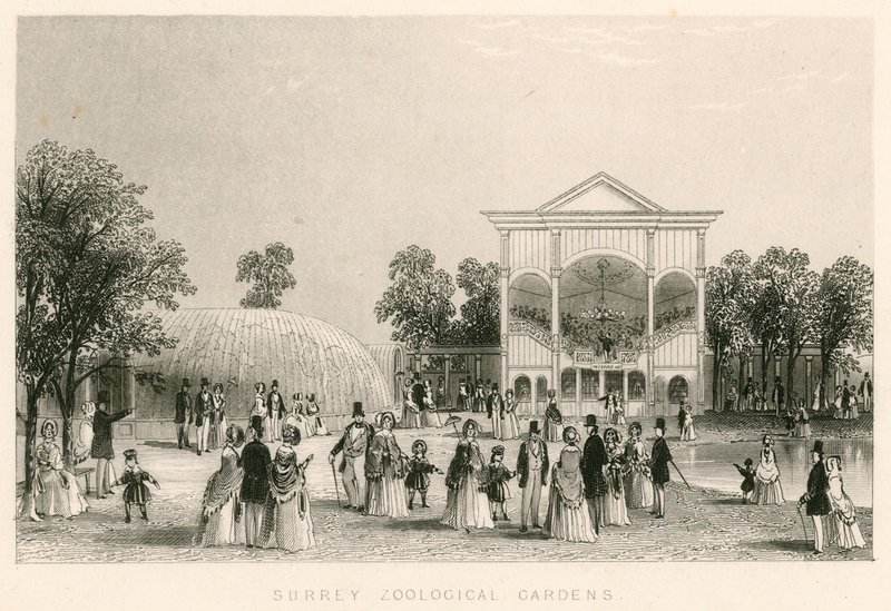 Surrey Zoological Gardens, Kennington, London: det nye orkester af English School