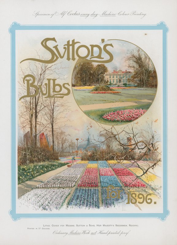 Suttons pærer fra 1896 af English School