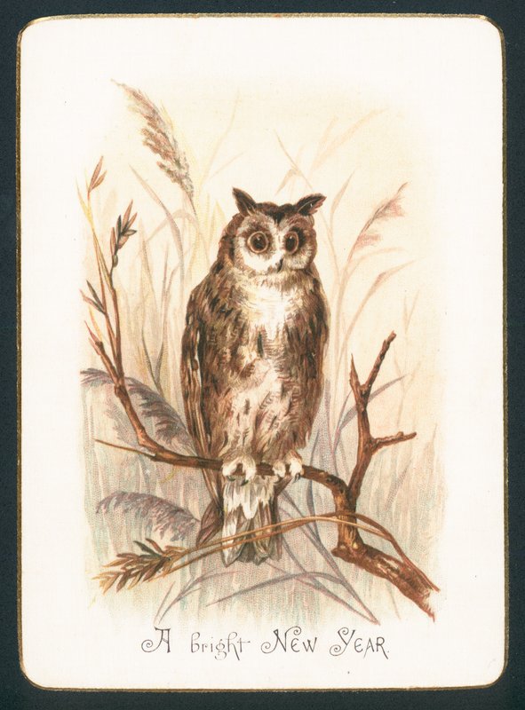 Tawny Owl, nytårskort af English School