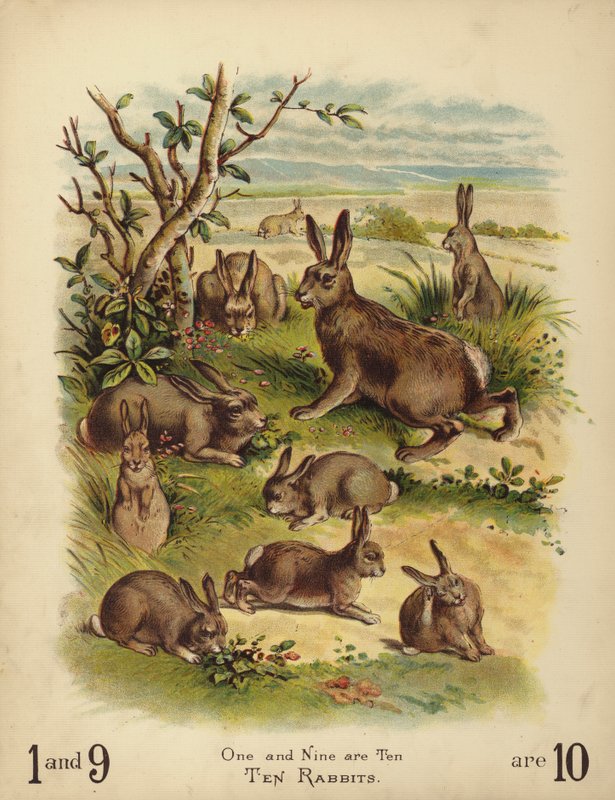 Ti kaniner (chromolitho) af English School