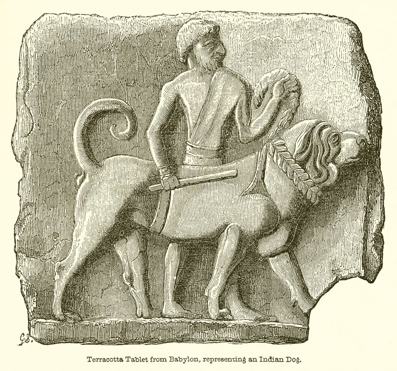 Terracotta-tablet fra Babylon, der repræsenterer en indisk hund af English School