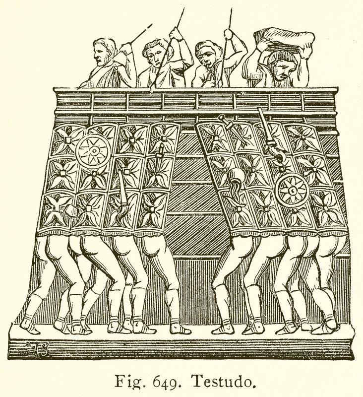 Testudo af English School