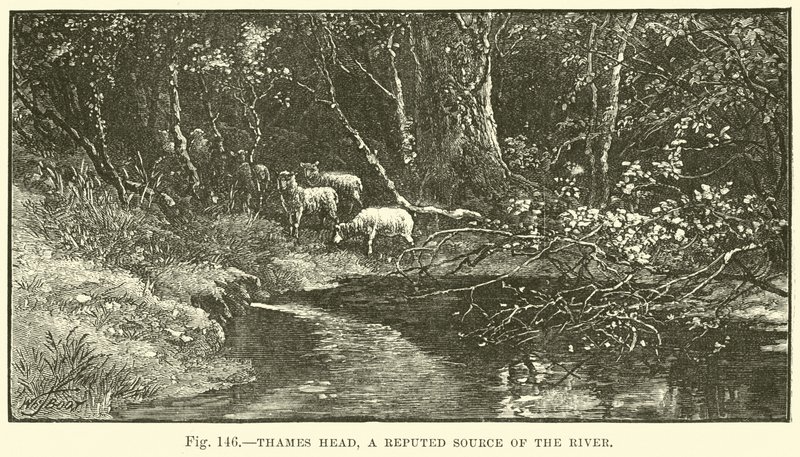 Thames Head, a reputed source of the river  af English School