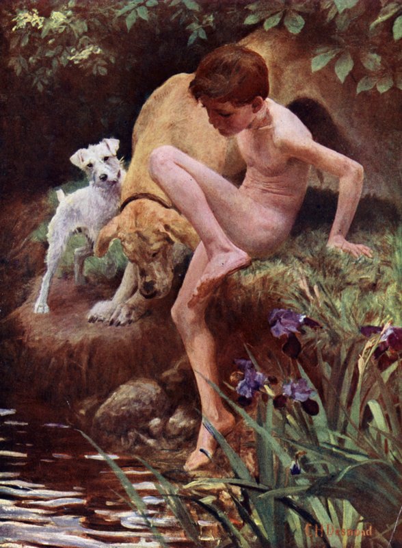 The Bathers - boy and dogs having a swimdani af English School