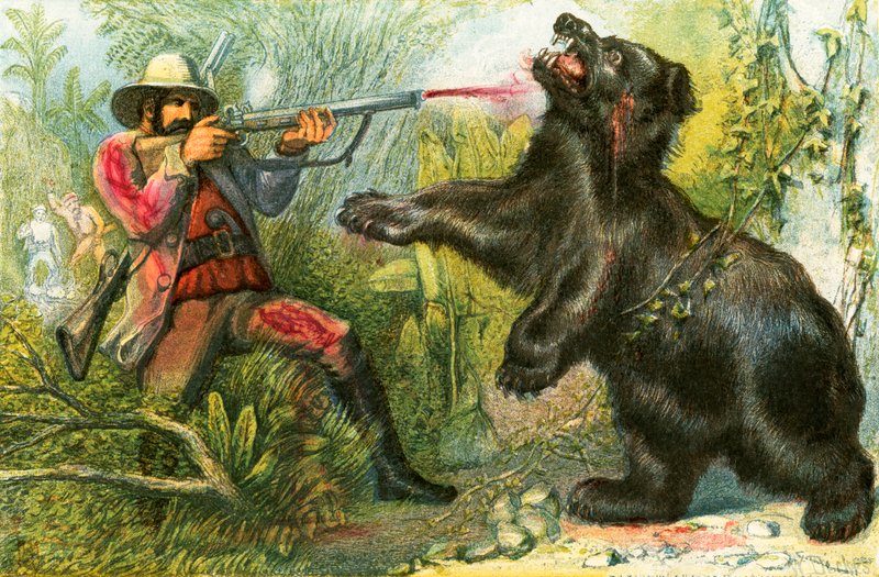 The Bear - 