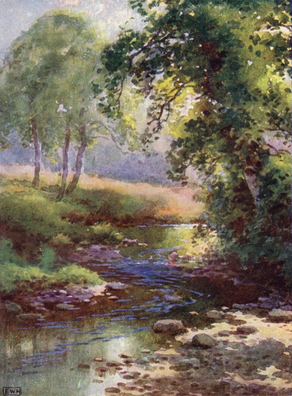 The Brook (farvelitografi) af English School
