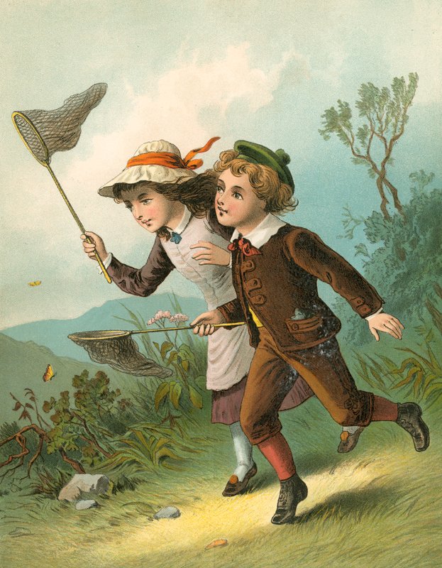 Sommerfuglejagten af English School