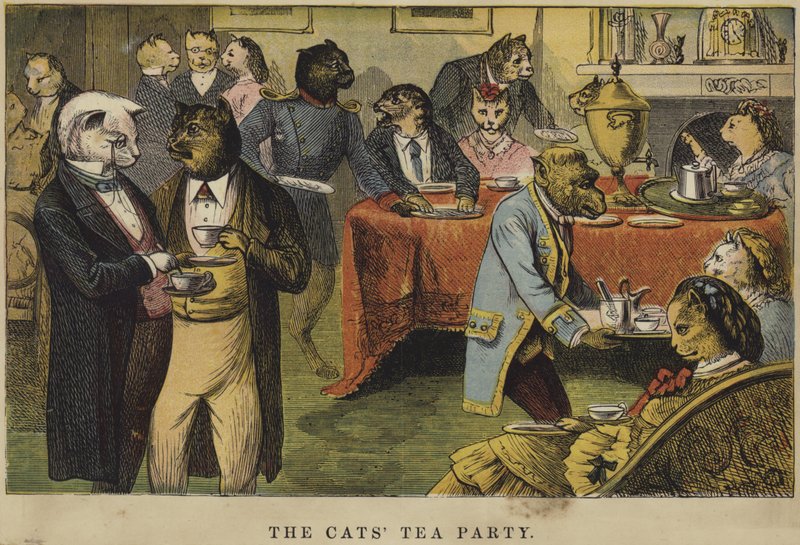 The Cats Tea Party af English School