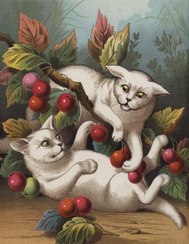 The Cross Kitten (chromolitho) af English School