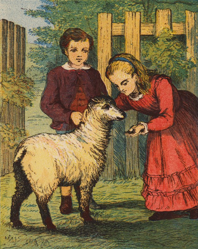 Lammet "Gøgen" (farvelitografi) af English School