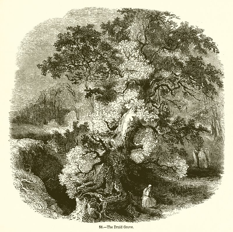 Druidelunden af English School