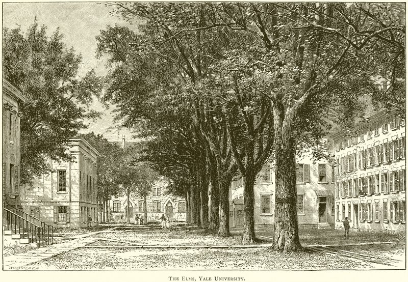 The Elms, Yale University af English School
