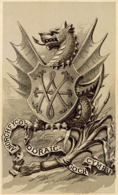 The Emblem of Wales (litho) af English School