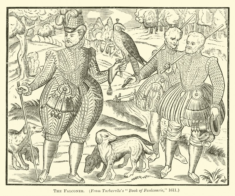 The Falconer  af English School