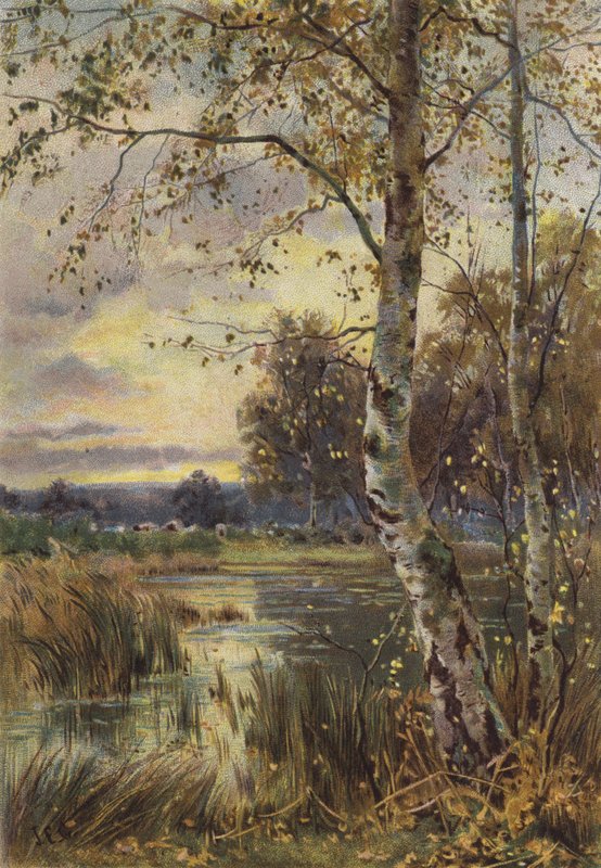 Det faldende blad (chromolitho) af English School