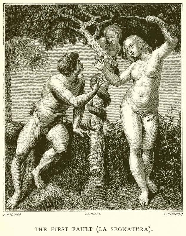 Den første fejl (La Segnatura) af English School