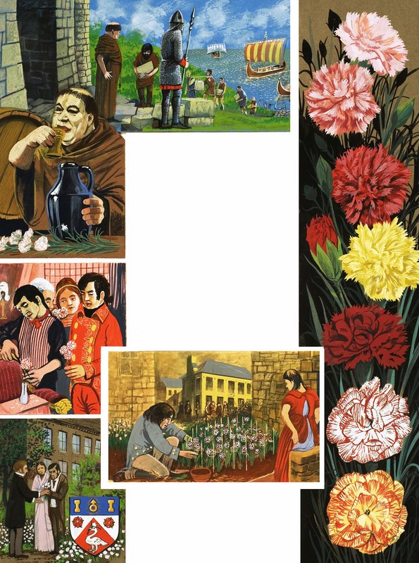 Blomsterne der blomstrer: Bright Carnations af English School