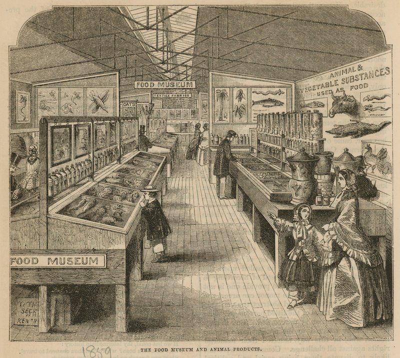 Fødevaremuseet og animalske produkter, South Kensington Museum af English School
