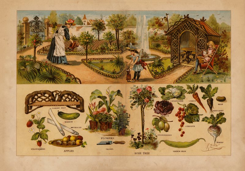 The Garden (farvelitografi) af English School