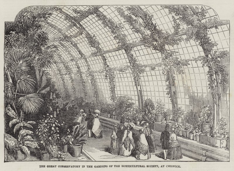 The Great Conservatory in the Gardens of the Horticultural Society, i Chiswick (gravering) af English School