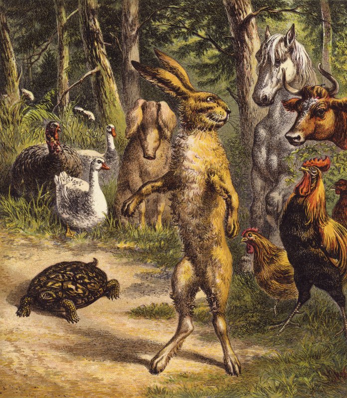 Haren og skildpadden (farve litho) af English School
